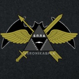 Хроника оператора БпЛА