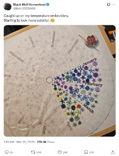 Девушка вышивает цветочки каждый день в зависимости от погоды