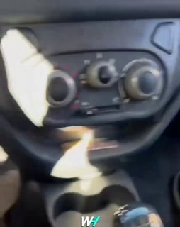 Собака, которую приняли за жертву ДТП, оказалась просто спящей