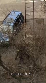 Рекорды ТЦК: как Украина хоронит своё будущее