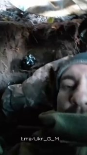 Иллюстрация 3