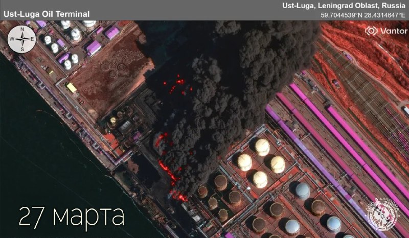 Иллюстрация 1