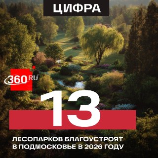 Летний парк в Малаховке благоустроят к 1 мая, обновят 13 лесопарков