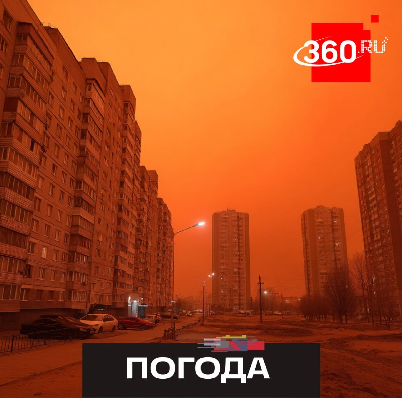 В Москве и области объявлен «оранжевый» уровень опасности из-за аномальной жары