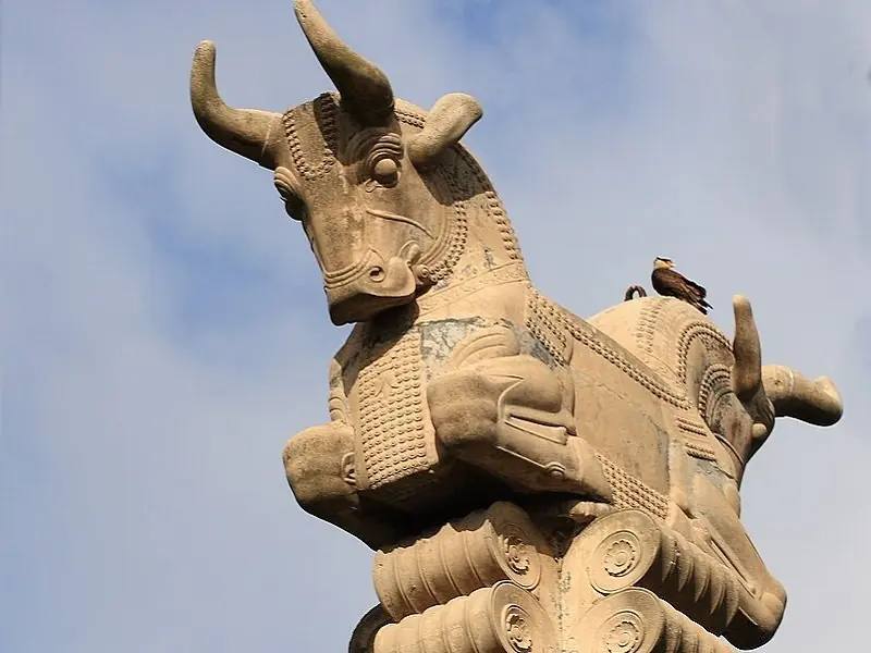 Иллюстрация 2