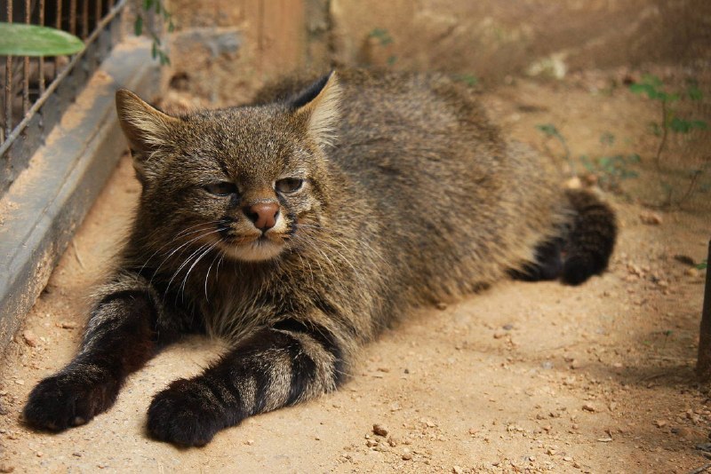 Иллюстрация 3