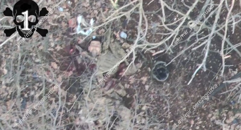 Иллюстрация 3