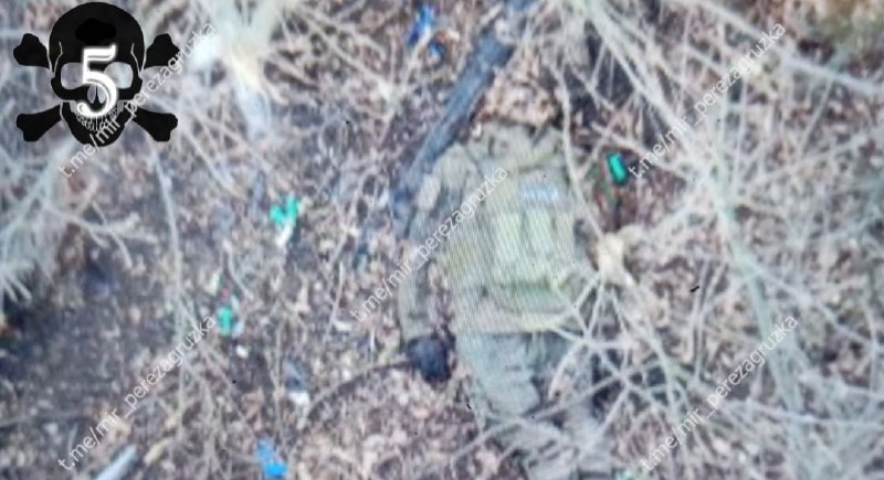 Иллюстрация 4