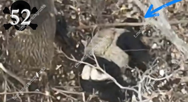 Иллюстрация 6