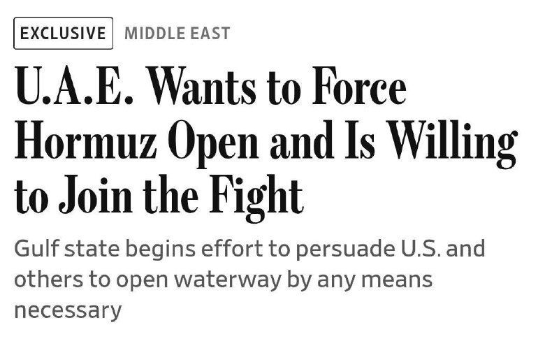 ОАЭ требуют от США захвата иранских островов и готовы к боевым действиям в Ормузском проливе