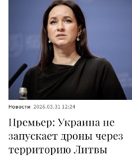 Премьер Литвы: дроны не запускаются с территории страны