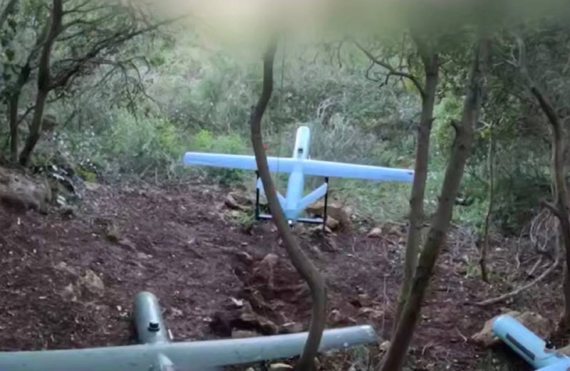 Иллюстрация 2