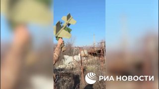 Иллюстрация 2