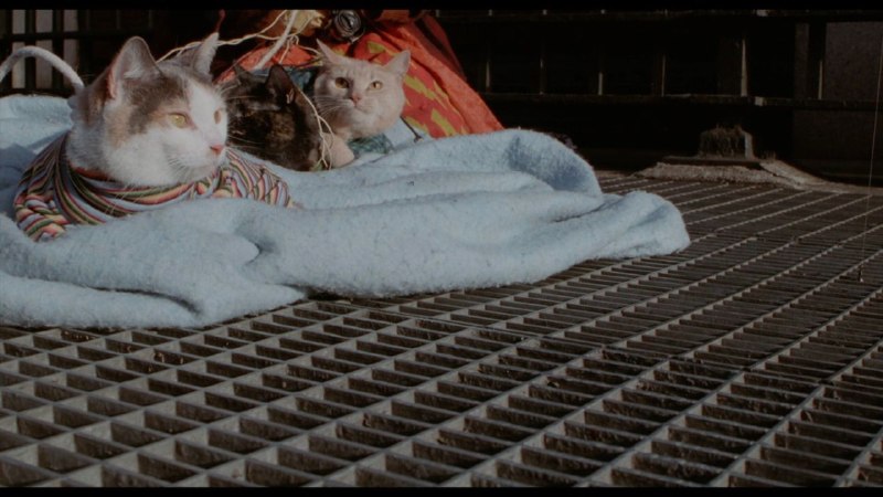 Иллюстрация 10