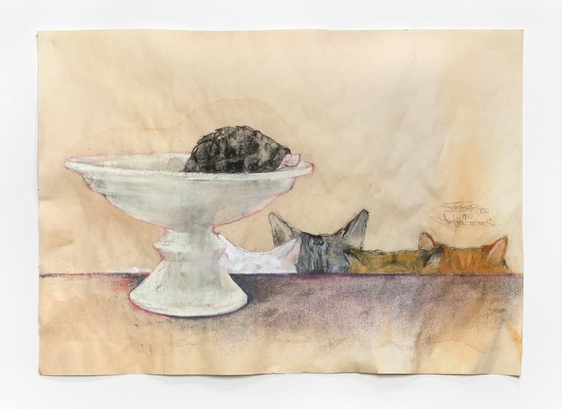 Иллюстрация 4