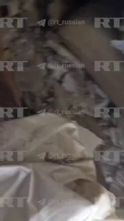 Иллюстрация 1