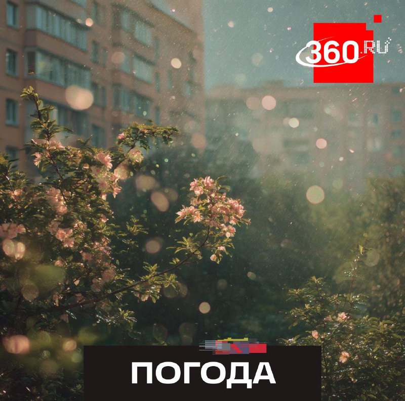 После рекордного тепла в Москве ожидаются дожди и резкое похолодание