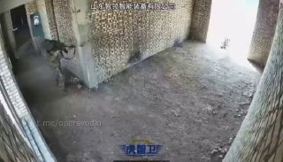 Китай демонстрирует координацию действий при зачистке территории от противника