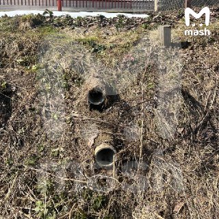 Иллюстрация 5