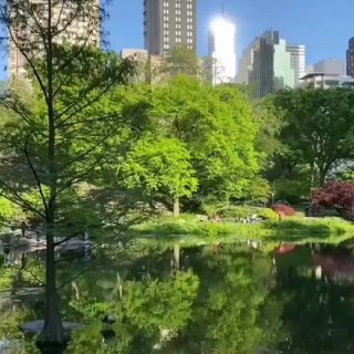 Центральный парк Нью-Йорка: больше Монако и звезда 240 фильмов