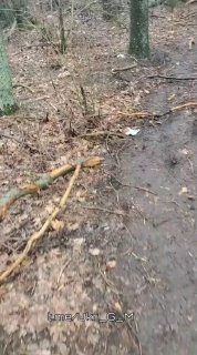 Уничтожен пикап украинских боевиков FPV-дронами на Славянском направлении