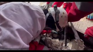 Спасение кошки в Тегеране после ударов