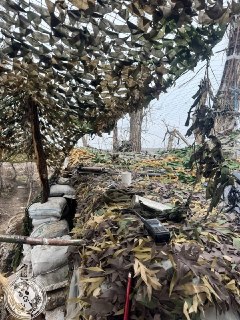 Иллюстрация 4