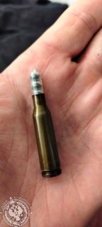 Иллюстрация 1