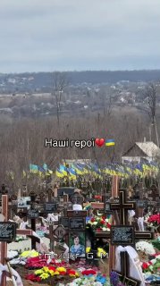 Иллюстрация 3