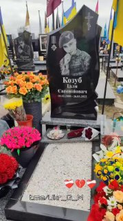 Иллюстрация 5