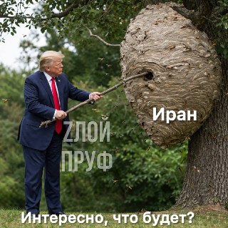 Сатирическое стихотворение о Трампе и Путине