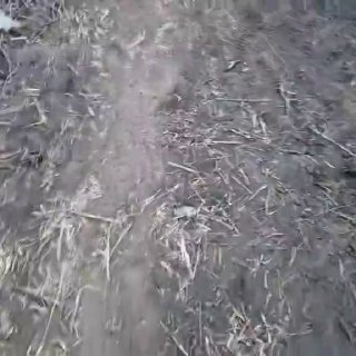 Уничтожена БМП-1 на Запорожском направлении