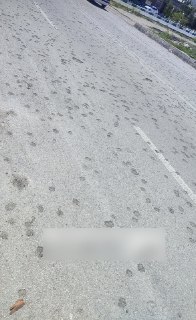 Иллюстрация 2