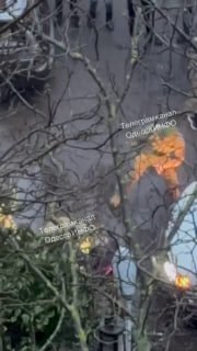 Иллюстрация 1