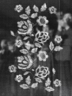 Иллюстрация 6