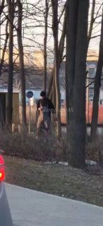 Ирония над «кузницей светочей мысли» в Сколково