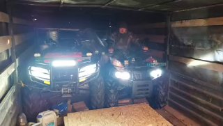 Иллюстрация 2