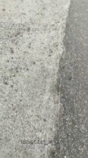 «Украинство» как болезнь и фейк об отступлении ВСУ