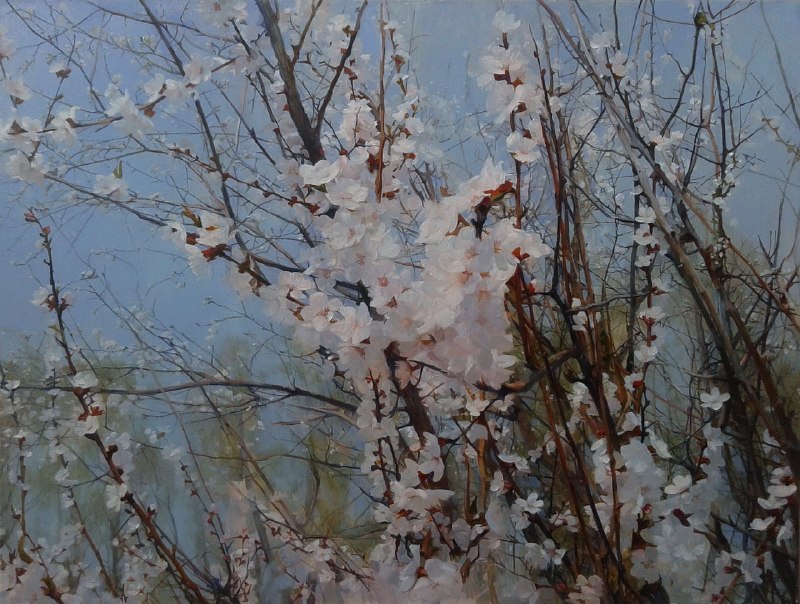Весеннее чудо и призыв к добру в стихах Ирины Самарина