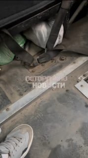 Иллюстрация 5