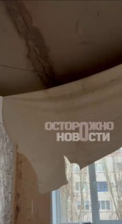 Иллюстрация 7