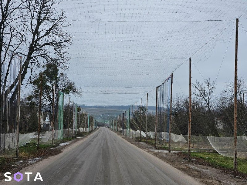 В Италии предложили защищать Украину от дронов рыболовными сетями