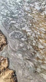 На пляже Липово заметили жуткую черную массу