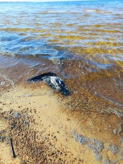 Иллюстрация 3