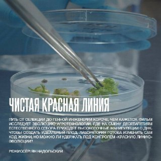 Иллюстрация 2