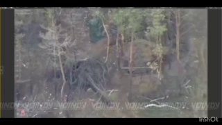 Уничтожение САУ противника операторами БПЛА в окрестностях Тихого