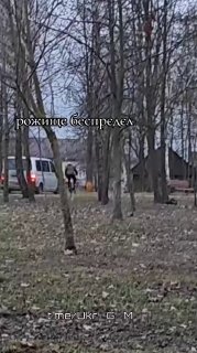 Сатира на мобилизацию в Украине: «Могилизация»