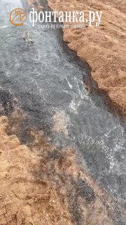 Загрязнение пляжа в Сосновом Бору: неизвестная субстанция, комментарии властей отсутствуют