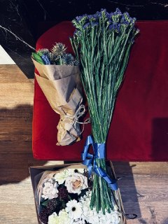 Иллюстрация 6