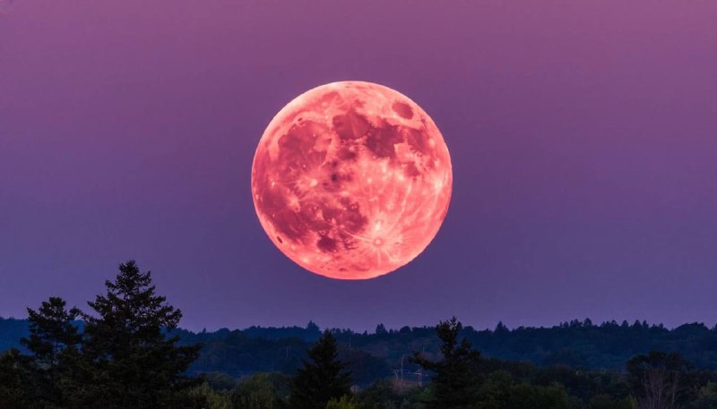 Иллюстрация 1